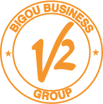 V2 Group